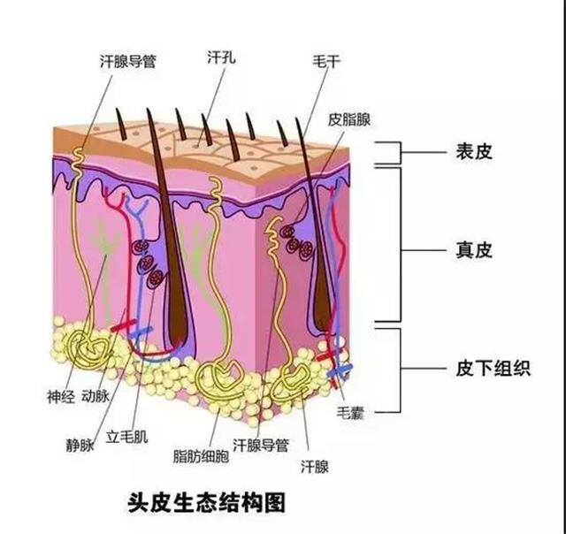 养发馆加盟