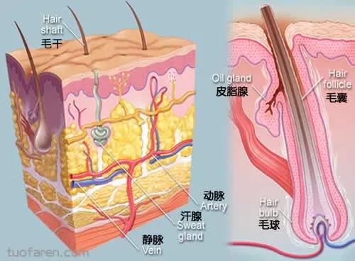 君丝佳养发馆加盟