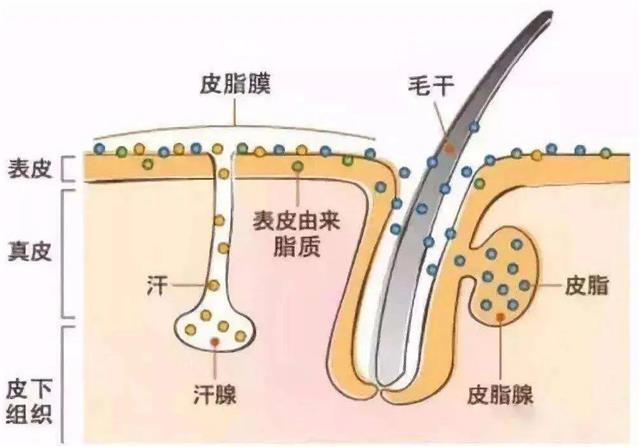 君丝佳生态养发馆加盟