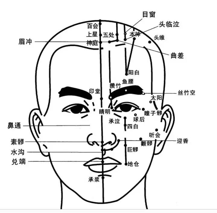 头部反射区图解高清图图片